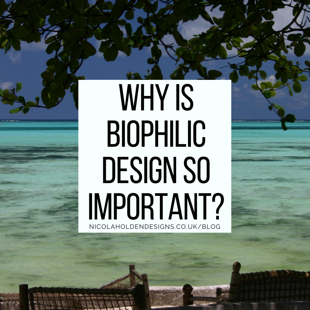 Why Is Biophilic Design So Important